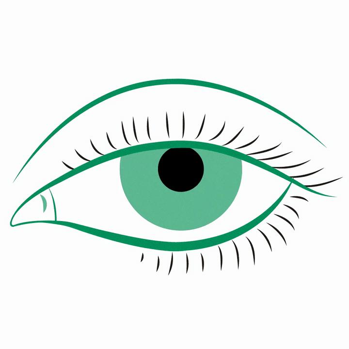 Animazione clinica — blefarite