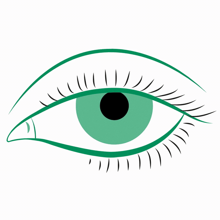 Animazione clinica — calazio